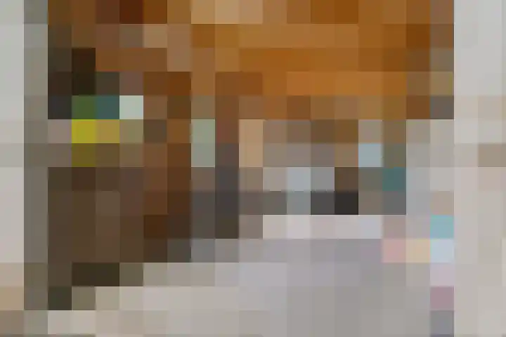 't Sou 44 Warns thumbnail 38
