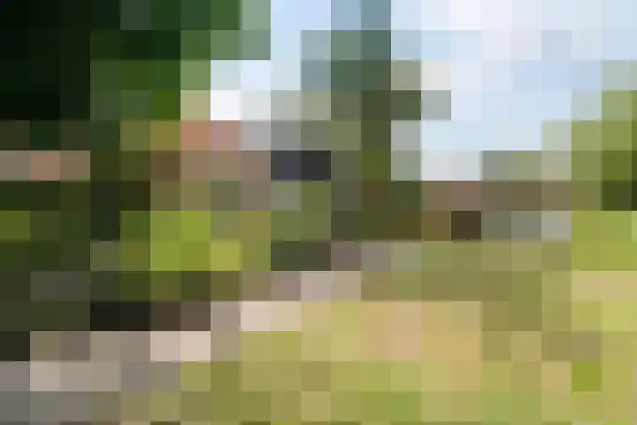't Sou 44 Warns thumbnail 39
