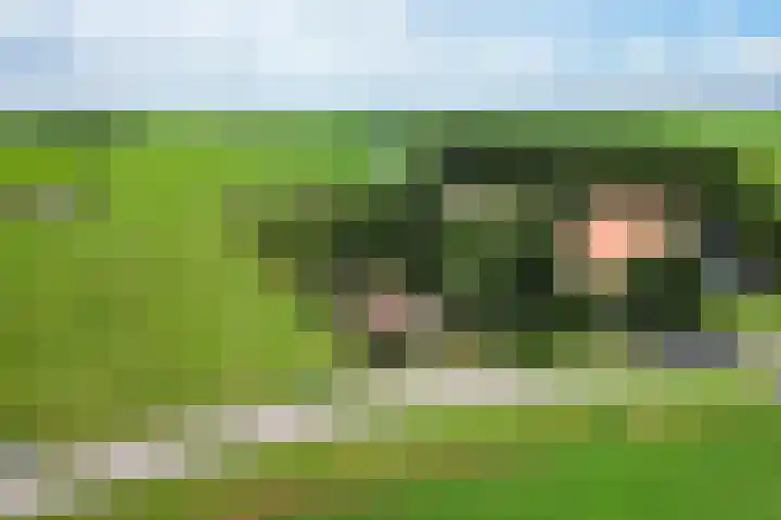 't Sou 44 Warns thumbnail 4