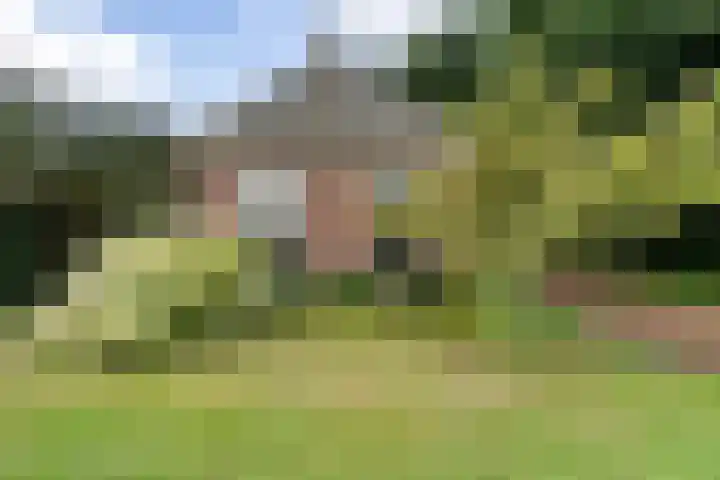't Sou 44 Warns thumbnail 40