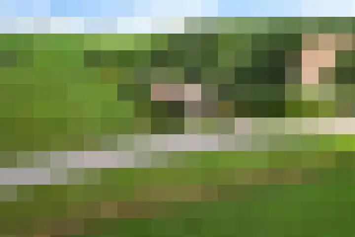 't Sou 44 Warns thumbnail 44