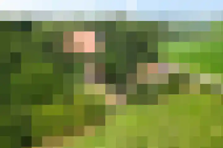 't Sou 44 Warns thumbnail 47