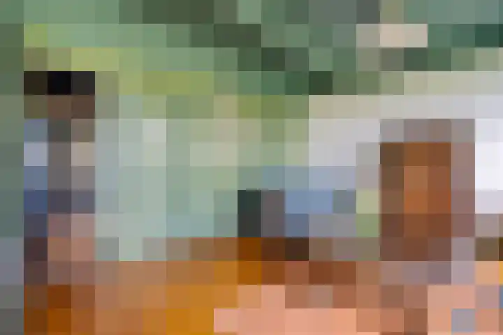 't Sou 44 Warns thumbnail 8