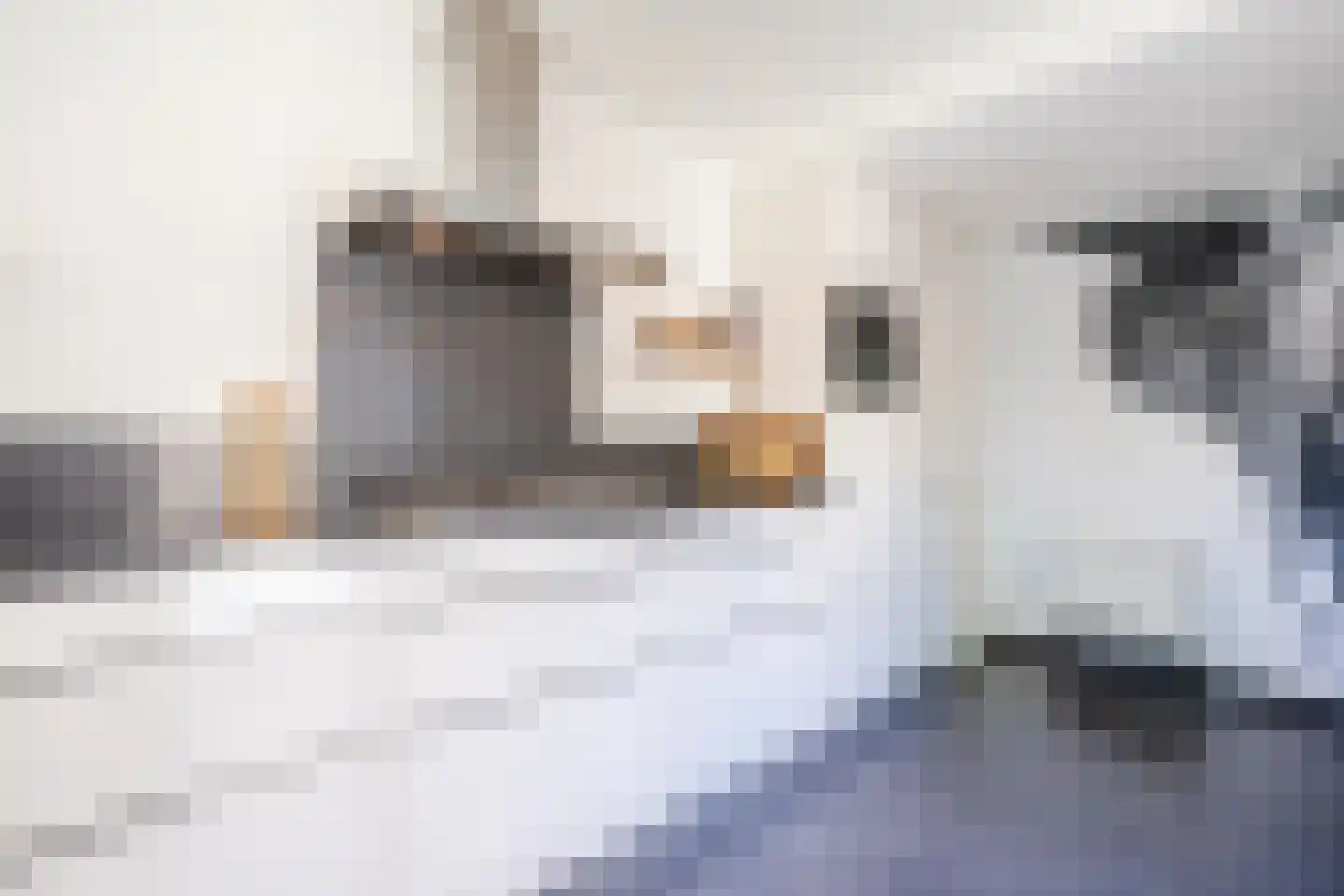 't Spiek 32 Beilen thumbnail 22