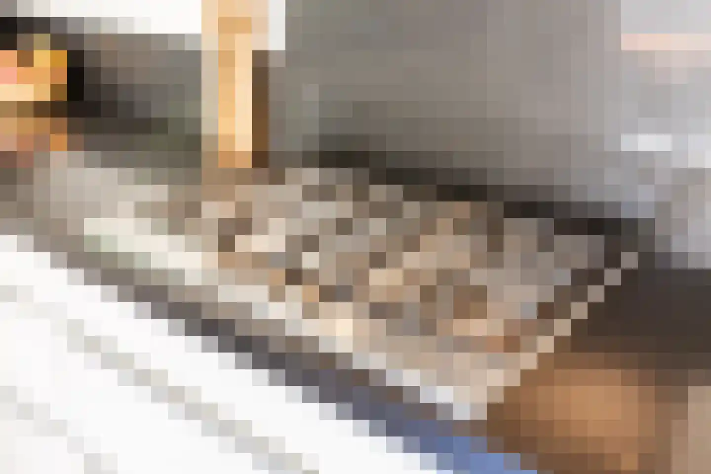 't Spiek 32 Beilen thumbnail 23