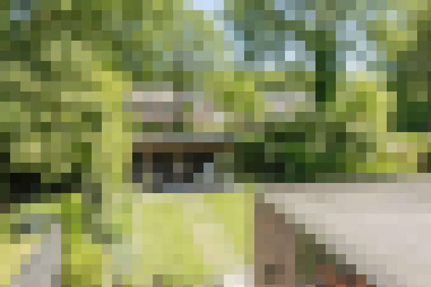 't Spiek 32 Beilen thumbnail 48