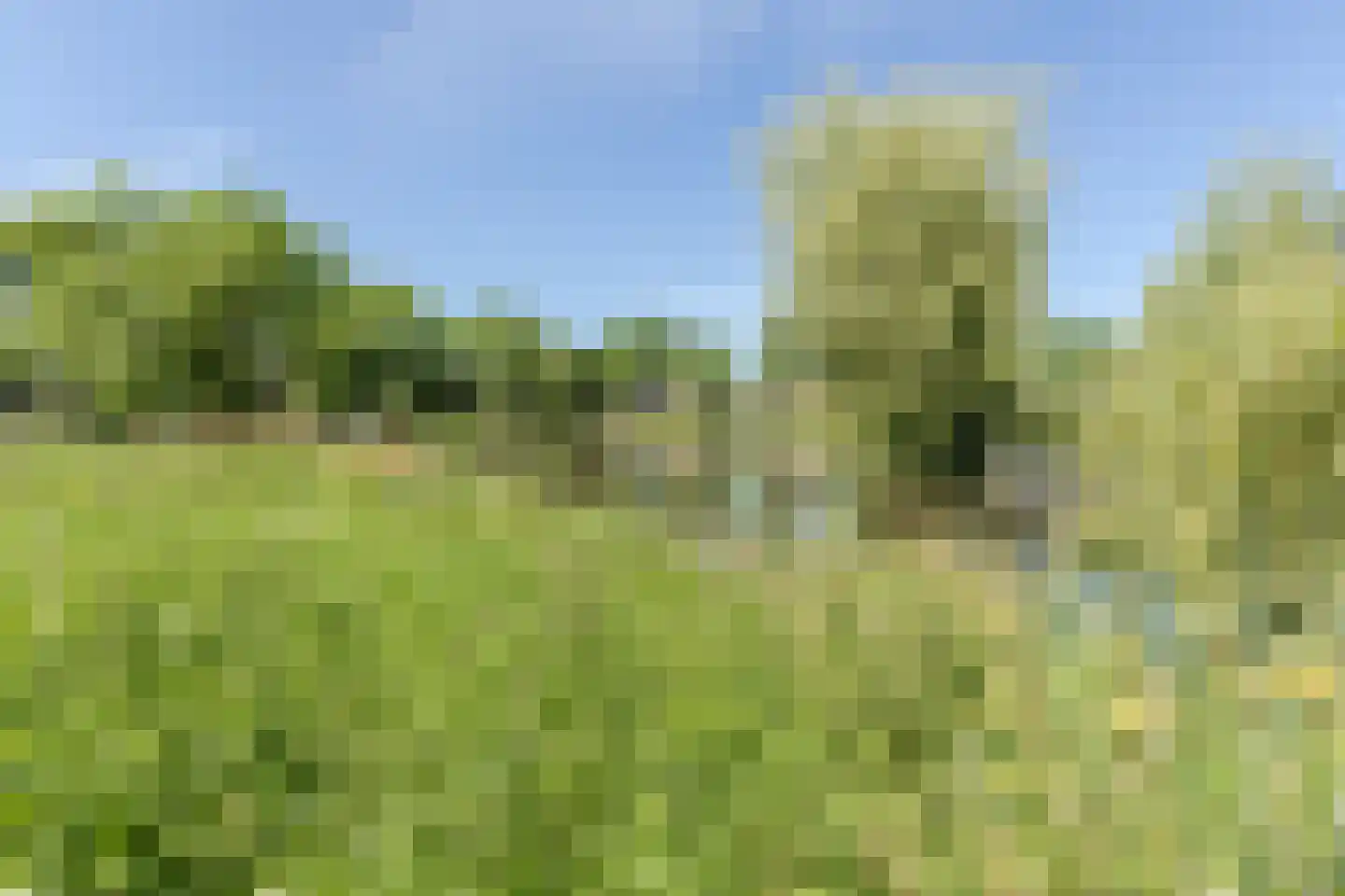 't Spiek 32 Beilen thumbnail 61