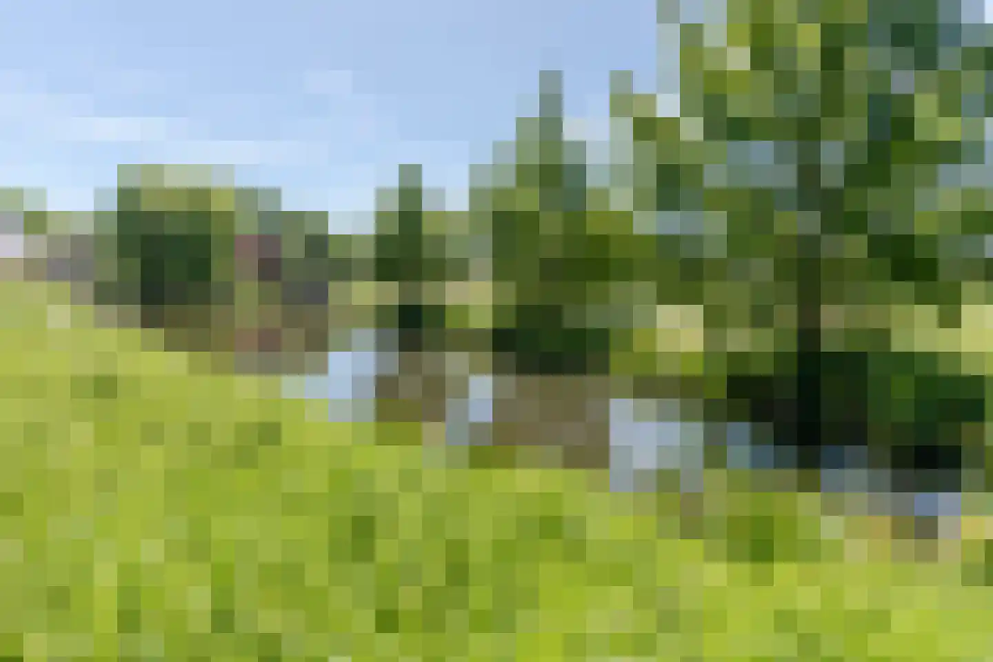 't Spiek 32 Beilen thumbnail 62