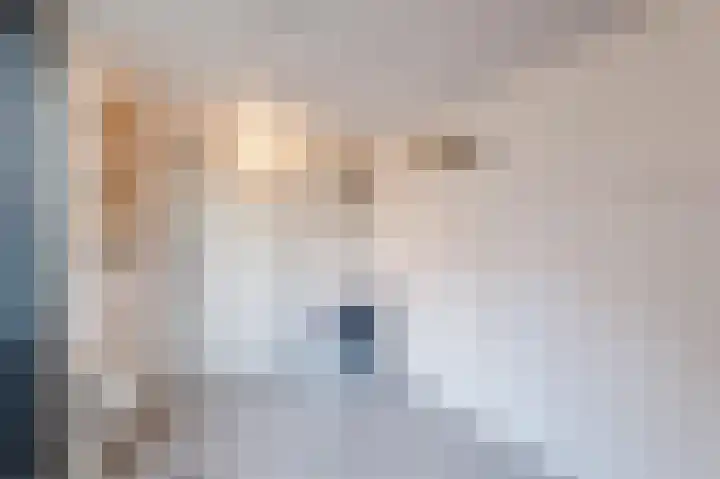 't Spiek 56 Beilen thumbnail 12