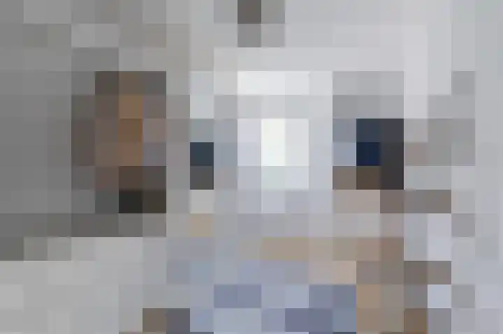 't Spiek 56 Beilen thumbnail 17