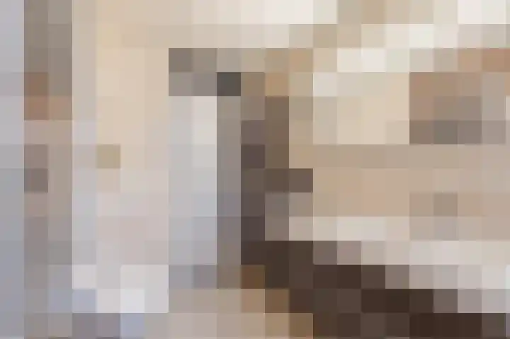 't Spiek 56 Beilen thumbnail 19