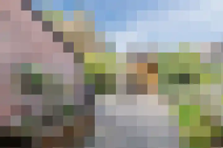 't Spiek 56 Beilen thumbnail 24