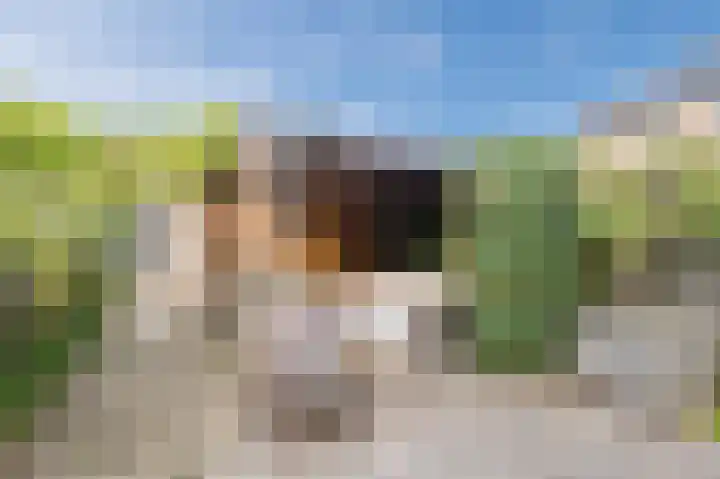 't Spiek 56 Beilen thumbnail 25