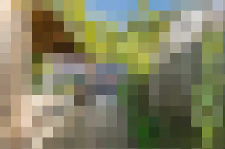 't Spiek 56 Beilen thumbnail 26