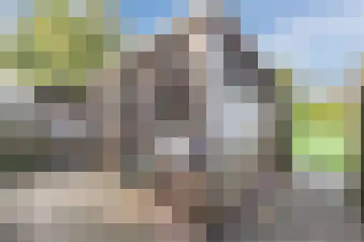 't Spiek 56 Beilen thumbnail 29