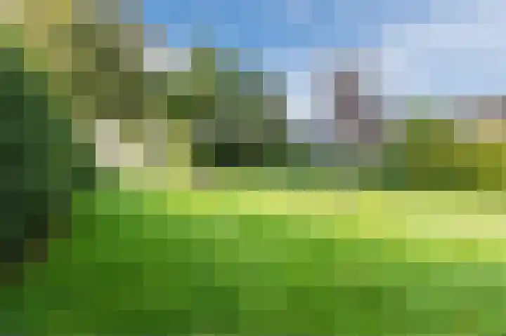 't Spiek 56 Beilen thumbnail 30