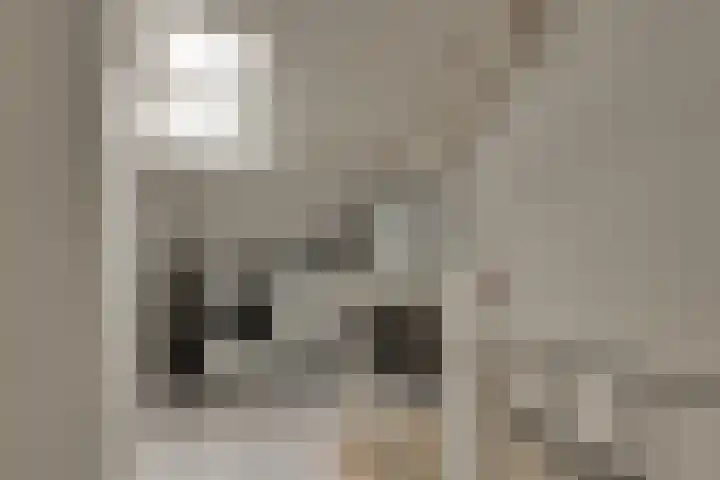 't Spiek 86 Beilen thumbnail 22