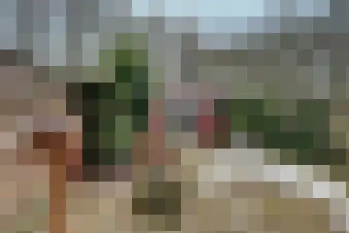't Spiek 86 Beilen thumbnail 25
