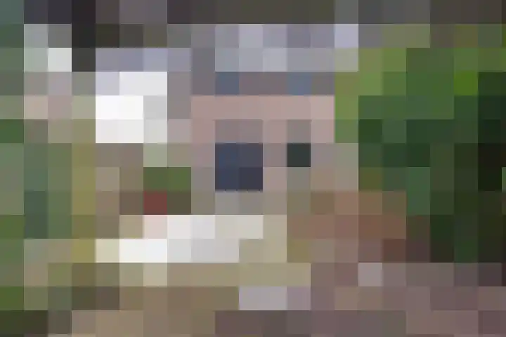 't Spiek 86 Beilen thumbnail 29