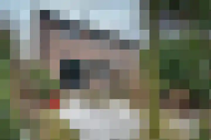 't Spiek 86 Beilen thumbnail 30