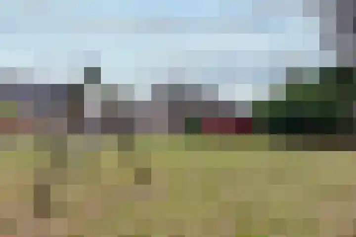 't Spiek 86 Beilen thumbnail 33