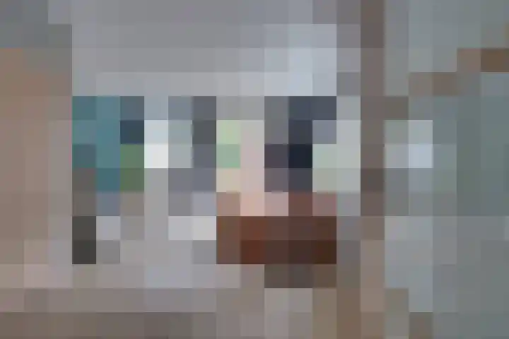 't Spiek 86 Beilen thumbnail 4