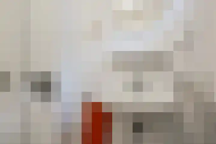't Spiker 33 Warnsveld thumbnail 25
