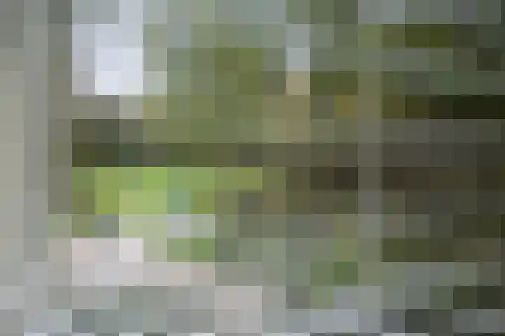 't Spiker 33 Warnsveld thumbnail 27