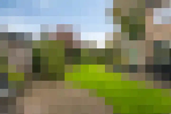 't Spiker 33 Warnsveld thumbnail 35