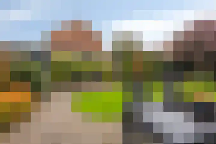 't Spiker 33 Warnsveld thumbnail 37