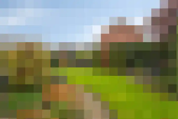 't Spiker 33 Warnsveld thumbnail 39