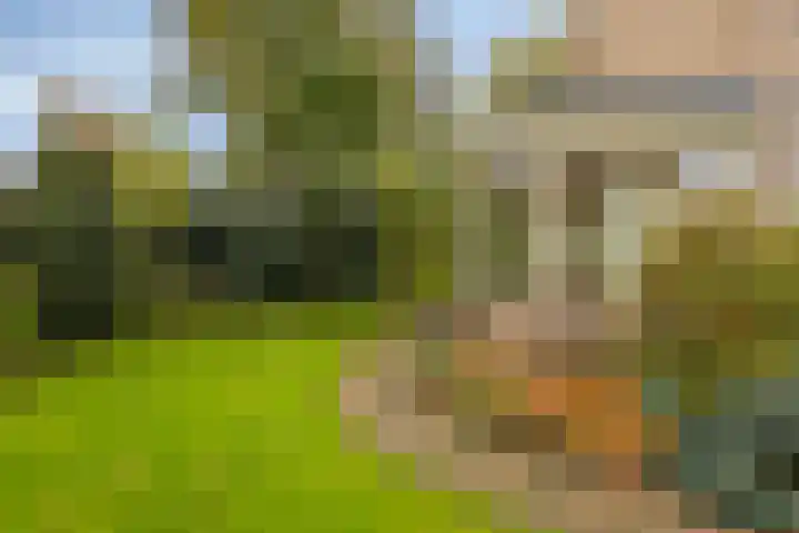 't Spiker 33 Warnsveld thumbnail 40