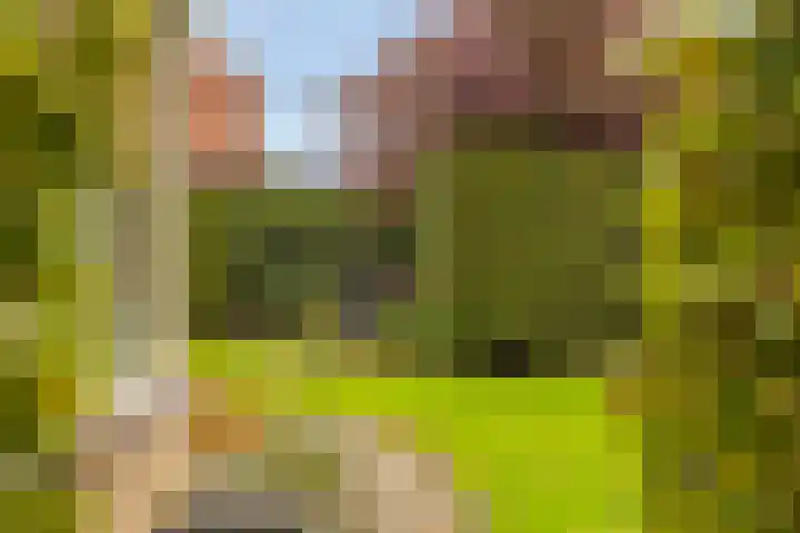 't Spiker 33 Warnsveld thumbnail 41