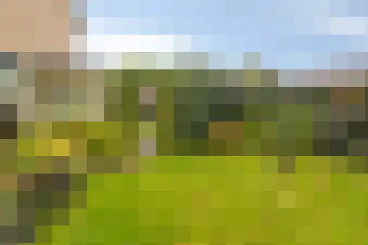't Spiker 33 Warnsveld thumbnail 42