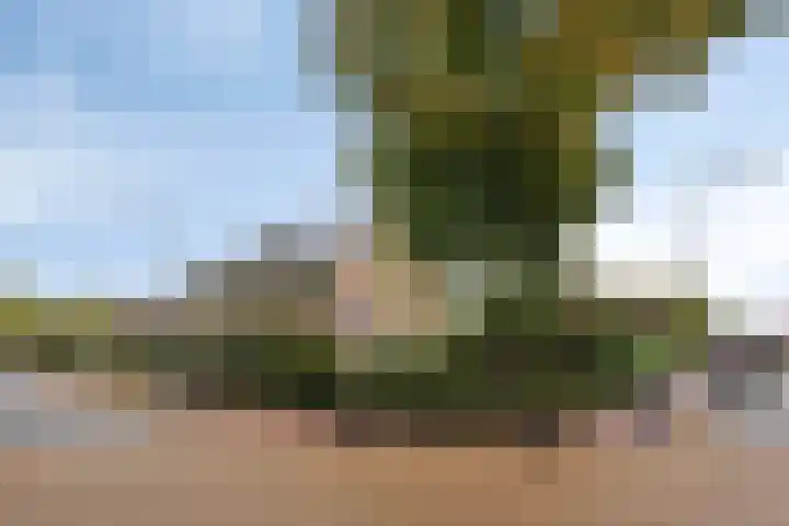 't Spiker 33 Warnsveld thumbnail 48