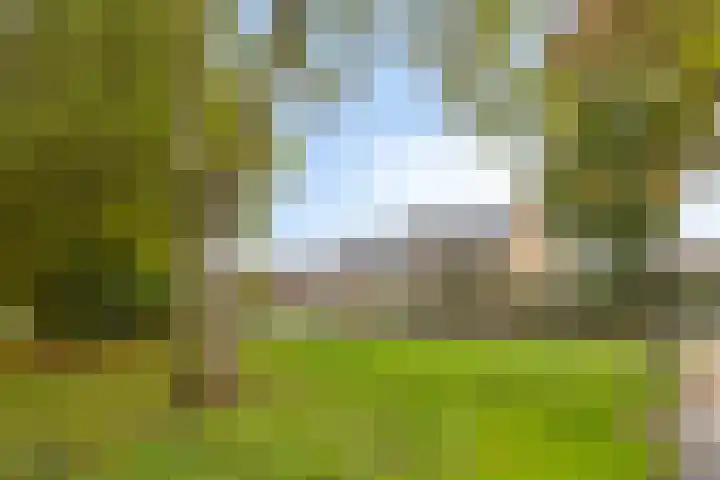 't Spiker 33 Warnsveld thumbnail 49