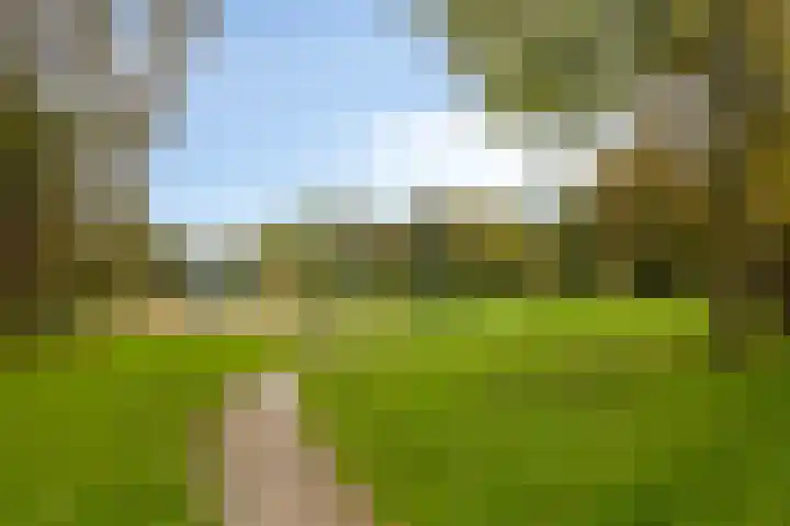 't Spiker 33 Warnsveld thumbnail 50