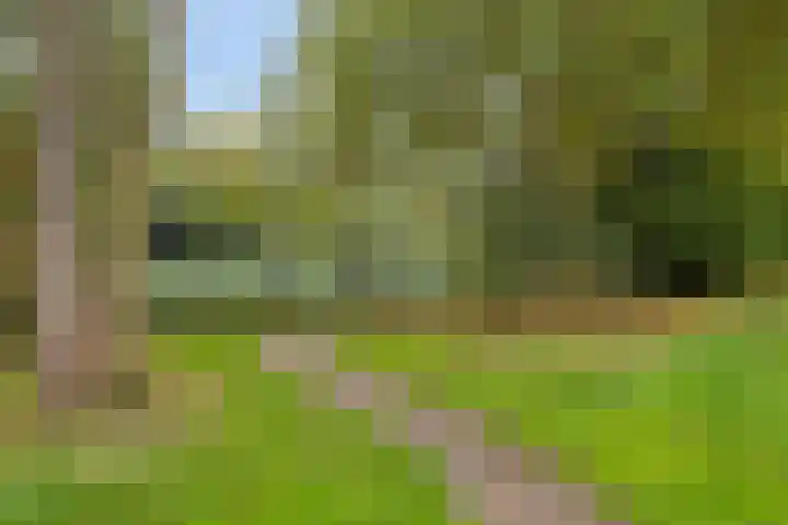 't Spiker 33 Warnsveld thumbnail 51