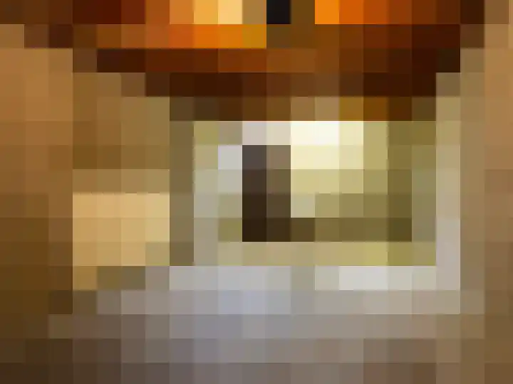 't Spiker 34 Warnsveld thumbnail 24