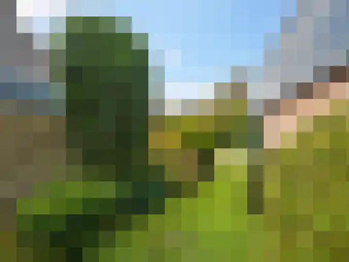 't Spiker 34 Warnsveld thumbnail 26
