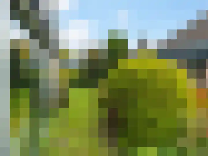 't Spiker 34 Warnsveld thumbnail 28