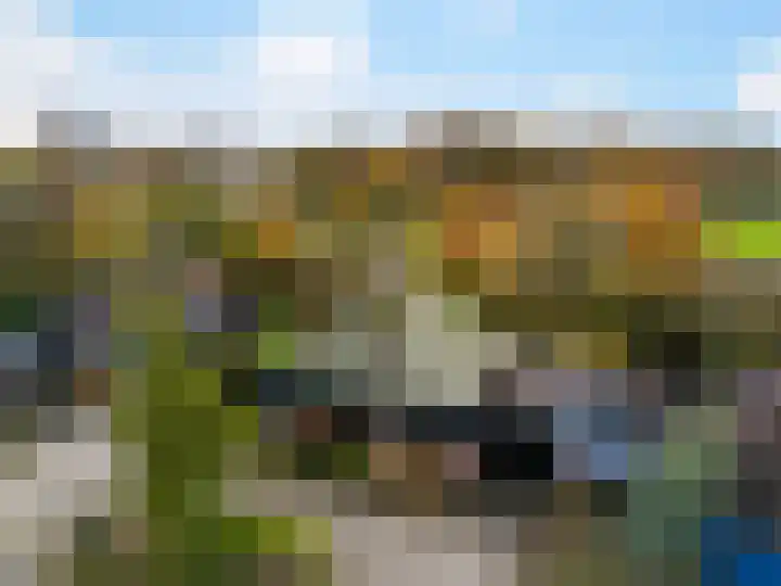 't Spiker 34 Warnsveld thumbnail 32