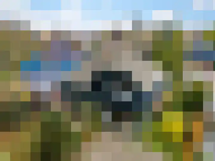't Spiker 34 Warnsveld thumbnail 35
