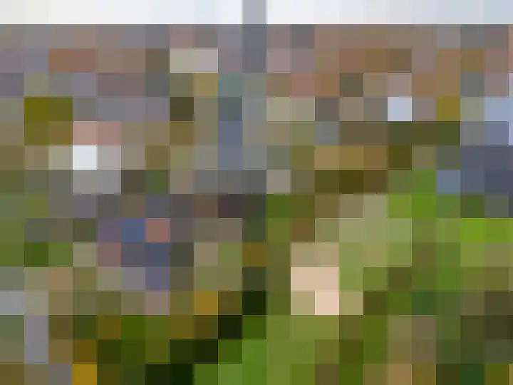 't Spiker 34 Warnsveld thumbnail 38