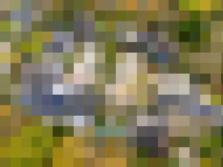 't Spiker 34 Warnsveld thumbnail 40