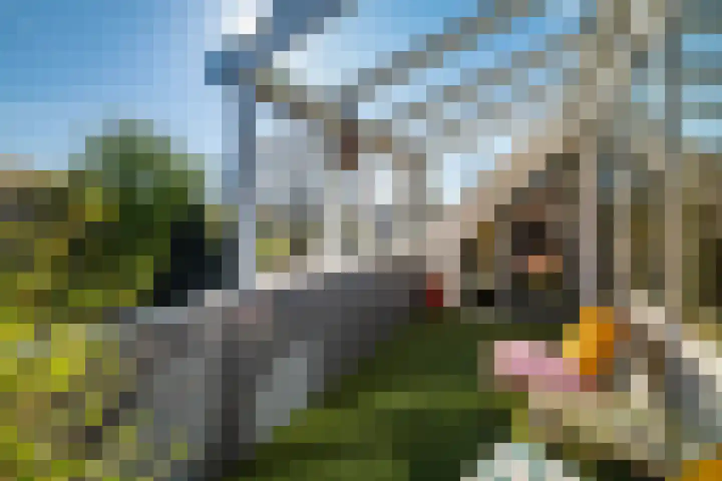 't Spiker 38 Warnsveld thumbnail 29