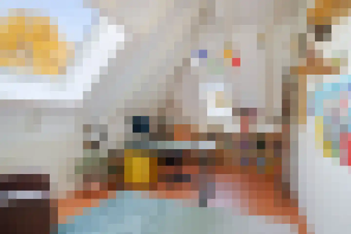 't Spiker 38 Warnsveld thumbnail 34
