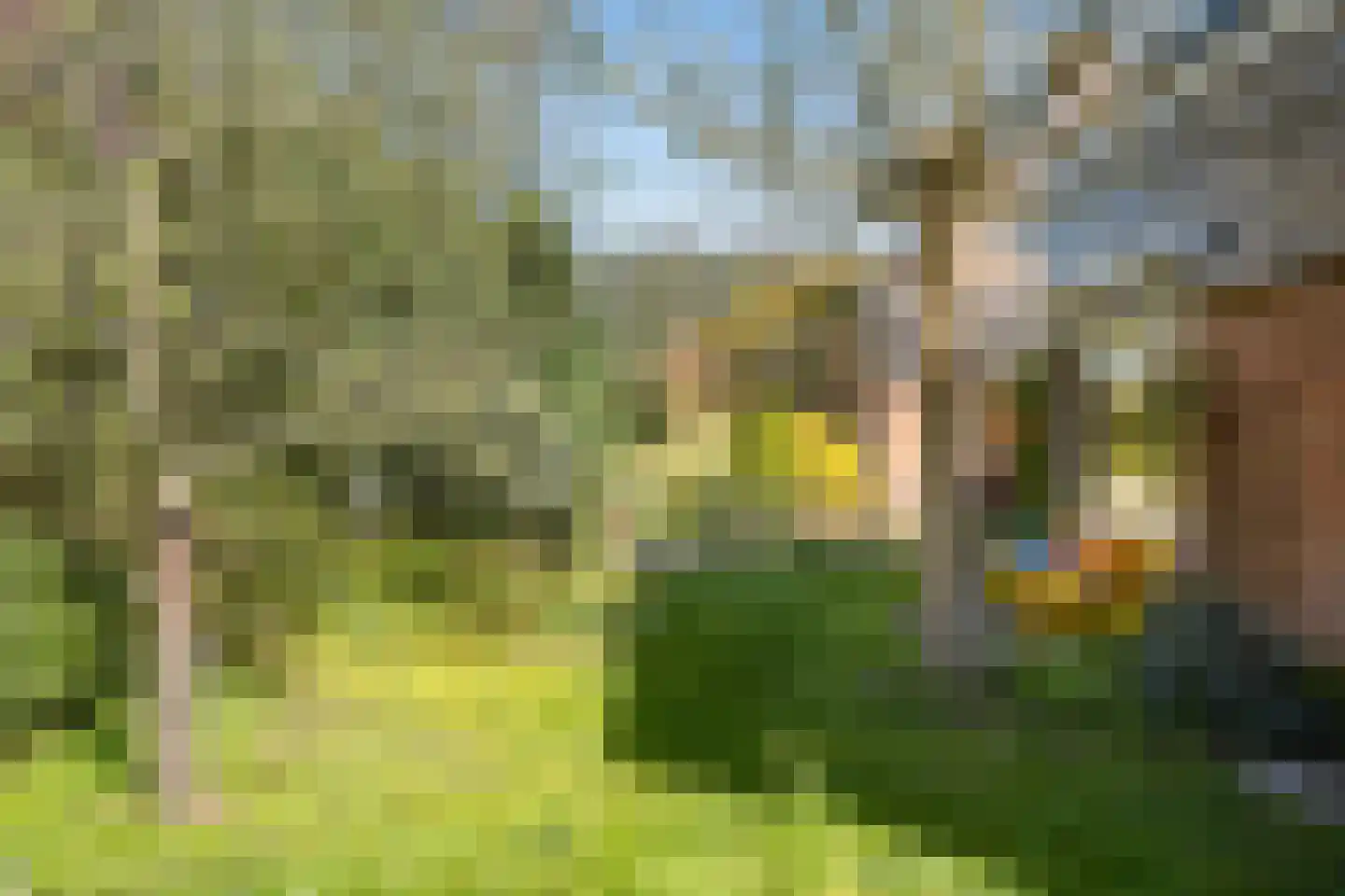 't Spiker 38 Warnsveld thumbnail 53