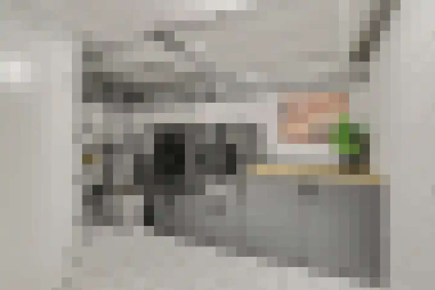 't Spiker 4 Warnsveld thumbnail 39