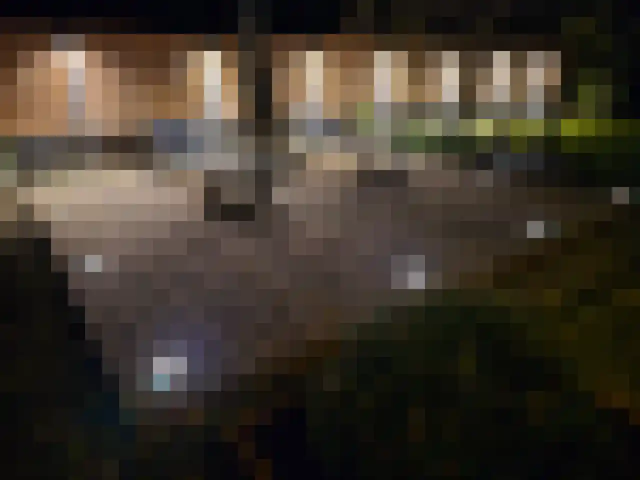 't Spiker 4 Warnsveld thumbnail 49